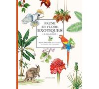 Faune et flore exotiques à colorier
