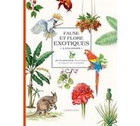 Faune et flore exotiques à colorier Collectif (Auteur)