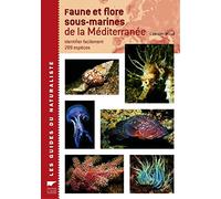 Faune et flore sous-marines de la Méditerranée