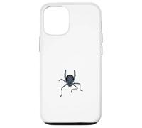 Faune namibienne, araignée du désert, araignée de roue, Coque pour iPhone 12/12 Pro