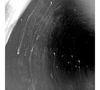 Faures - Continental Drift [Import belge]