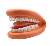 Fausse Bouche, PVC Modèle De Dents, Modèle De Dents Éducatif Portable - Pratique Et Confortable | Bouche Portable Douce Éducative pour Enfant, Adultes, Apprentissage Pratique 15x11x9.5cm