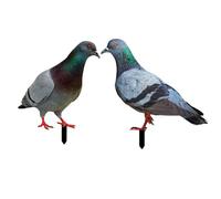 Fausse décor de pigeons - Player d'oiseau, modèle 2D | Pigeon réaliste Pigon Ground pour décor de jardin, ornement de simulation grandeur nature pour les scènes d'aménagement paysager en plein air, le