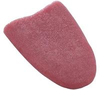 Fausse langue réaliste blagues farces tours de magie Halloween horribles accessoires de mode accessoires fantaisie