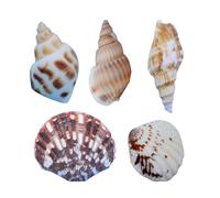 Fausses Coquillages De Paysage D'aqquarium, 50 Pièces, Ornement De Fond D'aquarium