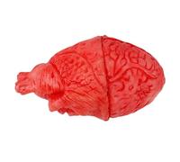 Fausses Parties Du Corps - Accessoires De Sang D'Halloween Fausses Parties Du Corps Effrayantes | Fausse Main | Fausse Main De Sang | Main Cassée | Pied Cassé | Faux Cadavre Pour Maison Hantée Hallowe