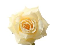 Fausses têtes de roses, 3.9 pouces, 10 pièces, fleurs artificielles en vrac, fausses Roses soie for décoration mariage, Bouquets artisanaux(Dark Champagne)