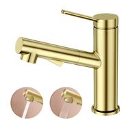 Faustina Robinet Salle de Bain pour Lavabo avec Douchette Extractible, Mitigeur Monocommande Monotrou, Or