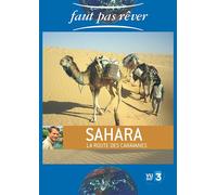 Sahara, la route des caravanes