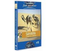 Faut pas rêver : Sahara, la route des caravannes