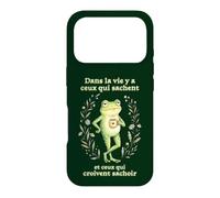 Faute Grammaire orthographe Humour pour collègue Grenouille Coque pour iPhone 17 Pro