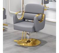 Fauteuil Barbier pour Salon de Coiffeuse Pro Ergonomie Levage et Rotation Hydrauliques en Acier Inoxydable Chaise Coiffure avec Base de Disque Plaquée Or pour Salon de Coiffure(Chrome)