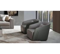 Fauteuil Club Lounge Lehnstuhl Polster Sofa 1 siège TV Velours Cuir Meuble Nouveau