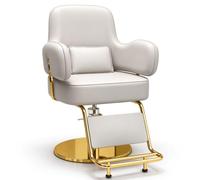 Fauteuil Coiffure de Salon, Chaise Coiffure Professionnel avec Pompe Hydraulique Robuste,Gris,J