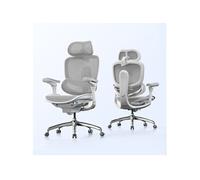 SIHOO C300 V2 Chaise de Bureau Ergonomique, Soutien Lombaire, 8D Accoudoirs Réglables, Maille, Gris
