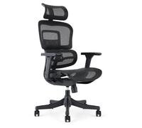 Waytex Fauteuil de bureau ergonomique - Maille respirante, Accoudoirs réglables 3D - Noir