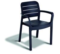Fauteuil De Jardin Tisara Graphite Allibert