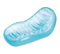 Polygroup Summer Waves Fauteuil gonflable Ergolounge 168 x 81