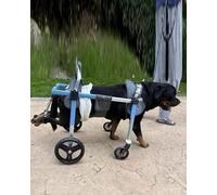 Fauteuil Roulant à 4 Roues for Chiens blessés, orthèses de Soutien complètes for Les Pattes des Chiens de Petite, Moyenne et Grande Taille, Aide à la mobilité Confortable(XL)