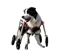 Fauteuil roulant à 4 roues pour chien avec tout - Cadre en aluminium - Outil - Réglage libre (longueur/largeur/hauteur), 4 roues de support, convient aux animaux de compagnie de 5 à 60 kg (XS à XXL