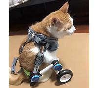 Fauteuil Roulant Chariot Pour Chien Fauteuil Roulant Pour Animaux De Compagnie Pour Chariot De Chat De Chien De Pattes Arrière, Chariot De Fauteuils Roulants À Pattes Arrière Pour Chiot D'intérieur Pe