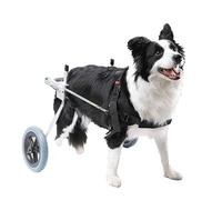 Fauteuil Roulant Chien 2 Roues Dog Wheelchair Réglable Chariot Chien handicapé pour la Rééducation des Jambes Arrières,XS