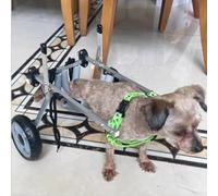 Fauteuil Roulant Chien Chiens de Chiens Handicapés, Petit/Moyen de Promenade pour Chiens Avec 2 Roues, poussette de Mobilité pour Chiens, Équipement de Réhabilitation pour Animaux de Compagnie (Siz
