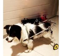 Fauteuil Roulant Chien Fauteuil Roulant/Chariot en Métal, Aide à la Marche à Chat Léger Réglable pour de Nombreux Terrains, Chariot de Support de Mobilité pour Chiots Handicapés (Size : Size M)