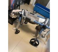 Fauteuil roulant léger à 4 roues pour animaux de compagnie handicapés, chariot de soutien arrière et avant-jambe réglable, aide à la mobilité pour chiens blessés - Bleu, taille L