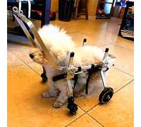 Fauteuil roulant léger et pliable pour petits animaux de compagnie, aide et poignée à 4 roues, chariot de rééducation idéal pour les problèmes de pattes avant/arrière (grand)