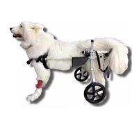 Fauteuil roulant moyen pour pattes arrière - Chariot de rééducation pour chiens handicapés - Poussette de soutien pour teckels et autres B - Améliore la mobilité et l'indépendance