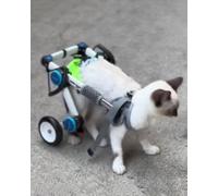 Fauteuil Roulant Pliable à Deux Roues pour Chats et Chiens - Chariot de rééducation léger pour Animaux paralysés, Support pour Chatons et Chiens handicapés présentant des problèmes de mobili