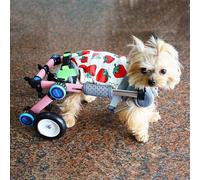 Fauteuil roulant pliable réglable pour chien pour soutenir les pattes arrière, design léger à 2 roues pour petits animaux handicapés, aide à la mobilité réduite