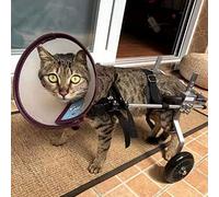 Fauteuil Roulant Pour Animaux de Compagnie,Chariot de Chien Animaux Scooter Réglable Puxiliaire Animaux Handicapés Arrière De Rehabilitatio Outil,2 Roues 15kg-25kg Beaucoup De Tailles