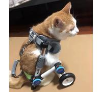 Fauteuil roulant pour animaux de compagnie pour pattes arrière, chariot pour chien et chat, chariot pour fauteuils roulants pour pattes arrière pour chiot d'intérieur, petit, très petit, gra
