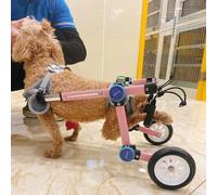 Fauteuil roulant pour animaux de compagnie pour pattes arrière, chariot pour chien et chat, chariot pour fauteuils roulants pour pattes arrière pour chiot d'intérieur, petit, très petit, gra