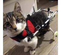 Fauteuil roulant pour chat pour pattes arrière paralysées, équipement de marche en fauteuil roulant pour animaux de compagnie en aluminium, chariot à roues d'entraînement de rééducation, gra