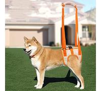 Fauteuil Roulant pour Chien, 2 Roues Réglable Animal De Compagnie Fauteuil Roulant Animal de Compagnie Jambe Arrière Exercice Voiture Handicapé Chien Assisté Marche Voiture