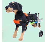 Fauteuil roulant pour chien à 2 roues avec support réglable et ceintures confortables pour blessure arrière - Aide les animaux handicapés à marcher