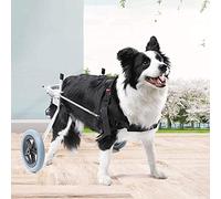 Fauteuil roulant pour chien à 2 roues/réglable pour chien handicapé, voiture de marche assistée par roue de mobilité pour chien pour handicapés et paralysés, réadaptation des pattes postérieures des