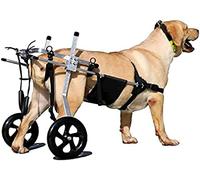 Fauteuil roulant pour chien à 2 roues réglable, vieux chien, chat, lapin, scooter, chariot pour chien, fauteuil roulant pour chien, rééducation des pattes arrière, facile à installer, convie