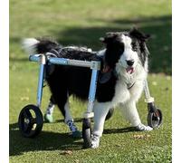 Fauteuil roulant pour chien à 4 roues, adapté à toutes les races, tapis roulant portable et réglable avec support pour les pattes avant et arrière, orthèses complètes pour pattes de chien, a
