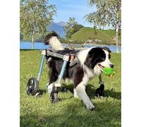 Fauteuil roulant pour chien à 4 roues pour aide à la mobilité, support de jambe avant et arrière pour animaux de compagnie de petite, moyenne et grande taille, dispositif de promenade pour chien