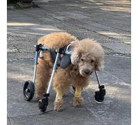 Fauteuil roulant pour chien à soutien complet pour animaux de petite, moyenne et grande taille - Chariot pour animaux à 4 roues pour la récupération de l'arthrite et des ruptures du LCA chez