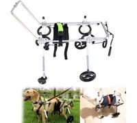 Fauteuil Roulant pour Chien à Soutien Complet pour Les Pattes arrières - Chariot léger et réglable à 4 Roues pour la rééducation et l'exercice - Taille S, idéal pour Les Chiens en convalesce