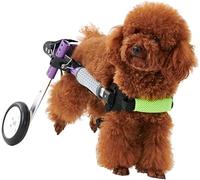 Fauteuil Roulant Pour Chien Adapté Aux Petits Et Moyens Chiens Fauteuil Roulant De Réadaptation Pour Animaux De Compagnie Pour Les Pattes Arrières,Xs,S (XS)
