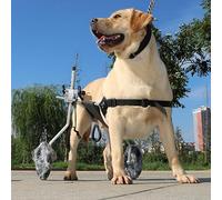 Fauteuil roulant pour chien, attelle de jambe de chien, chariot pour fauteuil roulant, support de roulement de roue de taille moyenne/grande pour chien, aide réglable pour promeneur de chien