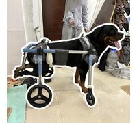 Fauteuil roulant pour chien - Chariot à soutien complet avec roue avant amovible pour aide à la mobilité des pattes arrière et avant - Solution de mobilité durable et réglable pour chien