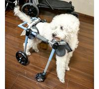 Fauteuil roulant pour chien - Chariot de mobilité en aluminium léger à 4 roues avec soutien complet, bretelles réglables pour une meilleure mobilité, convient pour les chiens de XS à XXL