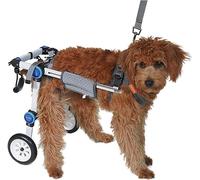Fauteuil roulant pour chien, chariot réglable pour chien, fauteuil roulant pliable pour animal domestique, marcheur pour chat et chien, voiture pour chien handicapé, fauteuil roulant pour ch